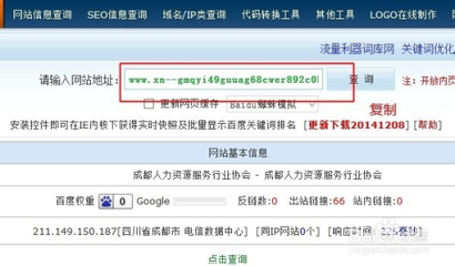查中文域名的收录,查询中文域名注册