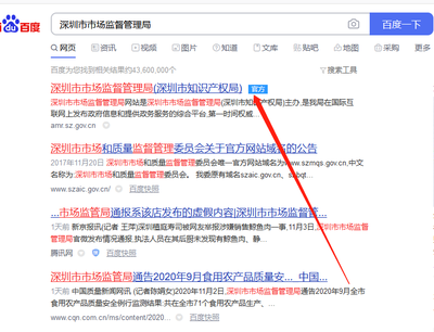中文域名注册流程图,中文域名注册管理办法