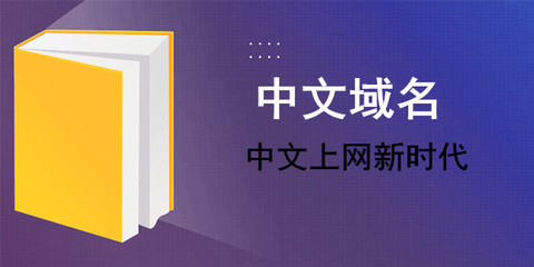 阿里巴巴可以买中文域名,阿里巴巴域名注册在哪里