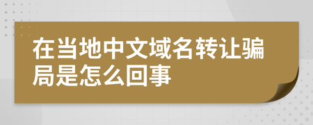 中文域名转让的骗局,中文域名转让交易骗局