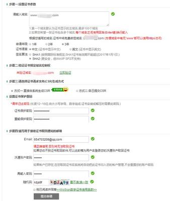 《中文域名注册证书,中文域名注册管理办法