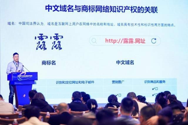 福州中文域名价格查询系统,福州中文域名价格查询系统官网