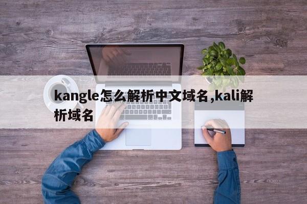 kangle怎么解析中文域名,kali解析域名