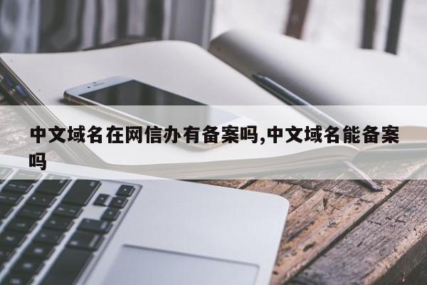 中文域名在网信办有备案吗,中文域名能备案吗