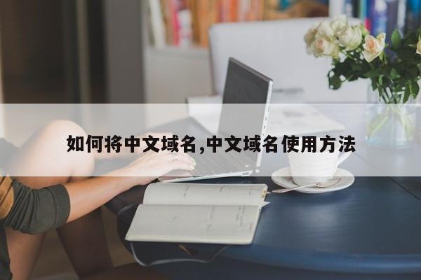 如何将中文域名,中文域名使用方法