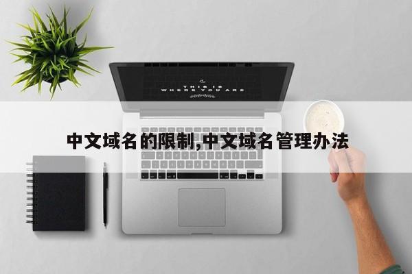 中文域名的限制,中文域名管理办法