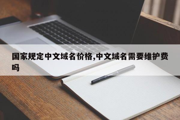 国家规定中文域名价格,中文域名需要维护费吗