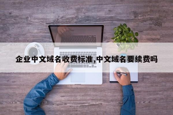 企业中文域名收费标准,中文域名要续费吗