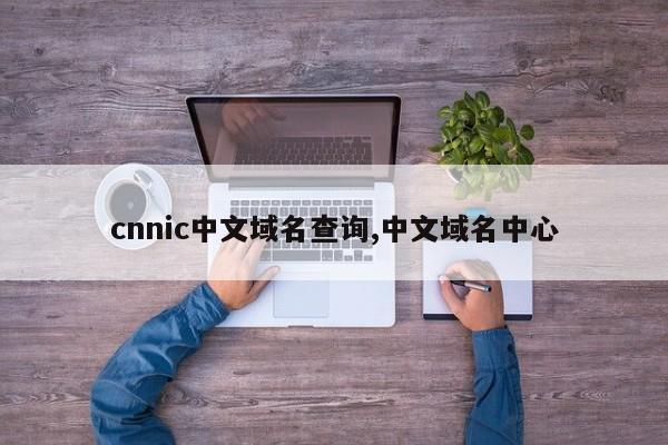 cnnic中文域名查询,中文域名中心