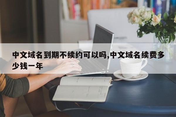 中文域名到期不续约可以吗,中文域名续费多少钱一年