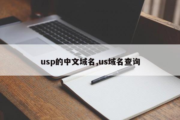 usp的中文域名,us域名查询