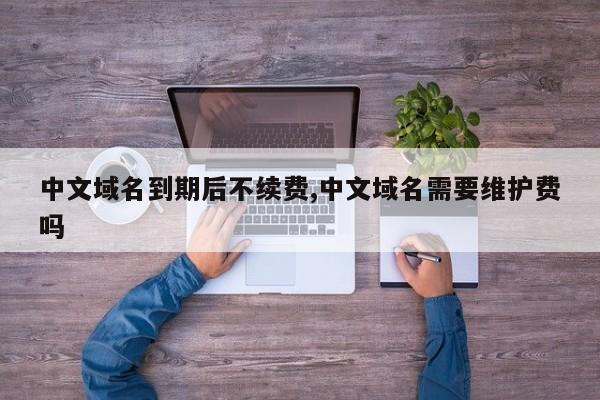 中文域名到期后不续费,中文域名需要维护费吗
