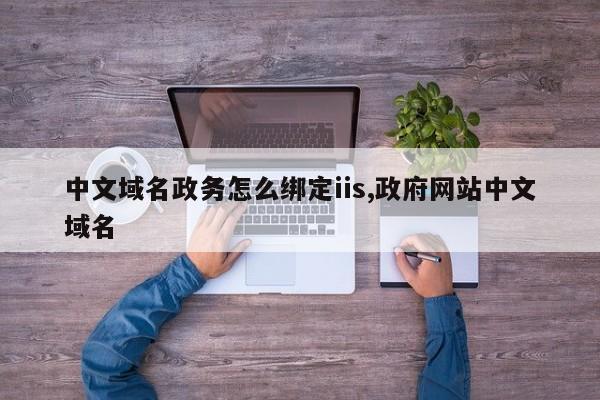 中文域名政务怎么绑定iis,政府网站中文域名