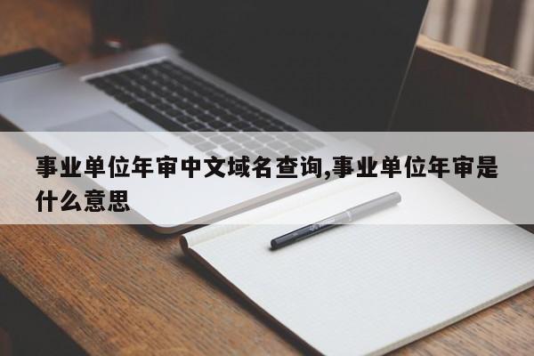 事业单位年审中文域名查询,事业单位年审是什么意思