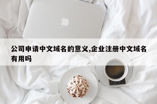公司申请中文域名的意义,企业注册中文域名有用吗