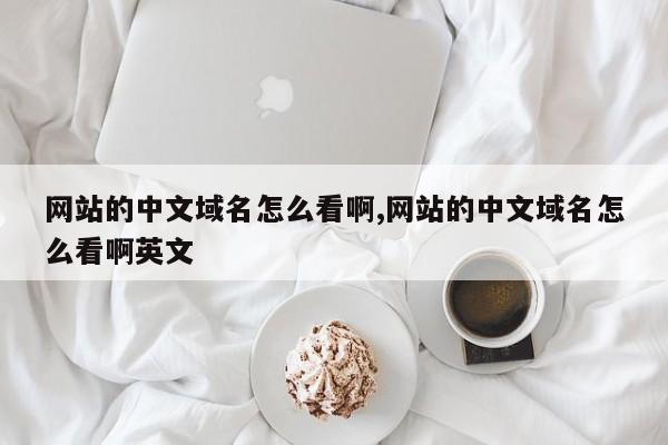 网站的中文域名怎么看啊,网站的中文域名怎么看啊英文