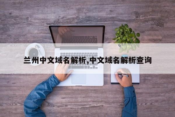 兰州中文域名解析,中文域名解析查询