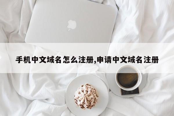 手机中文域名怎么注册,申请中文域名注册