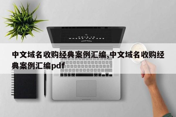 中文域名收购经典案例汇编,中文域名收购经典案例汇编pdf