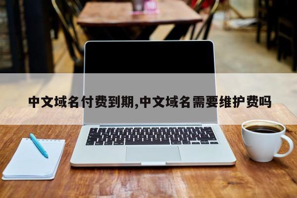 中文域名付费到期,中文域名需要维护费吗