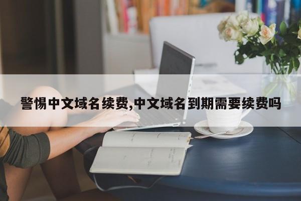 警惕中文域名续费,中文域名到期需要续费吗