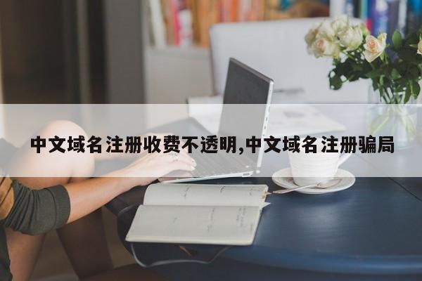 中文域名注册收费不透明,中文域名注册骗局
