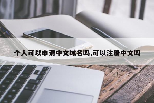 个人可以申请中文域名吗,可以注册中文吗