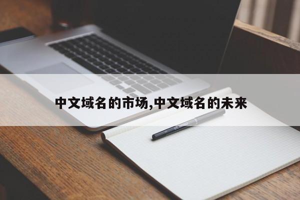 中文域名的市场,中文域名的未来
