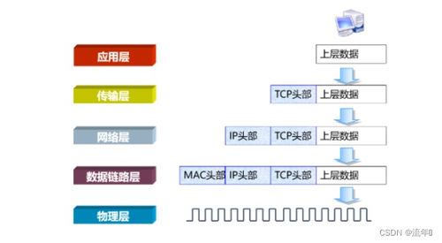 域名查询机制,域名查询过程