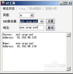 ip查询域名网站工具,ip域名 查询